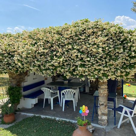 Wine & Olive Studio Геракини Экстерьер фото