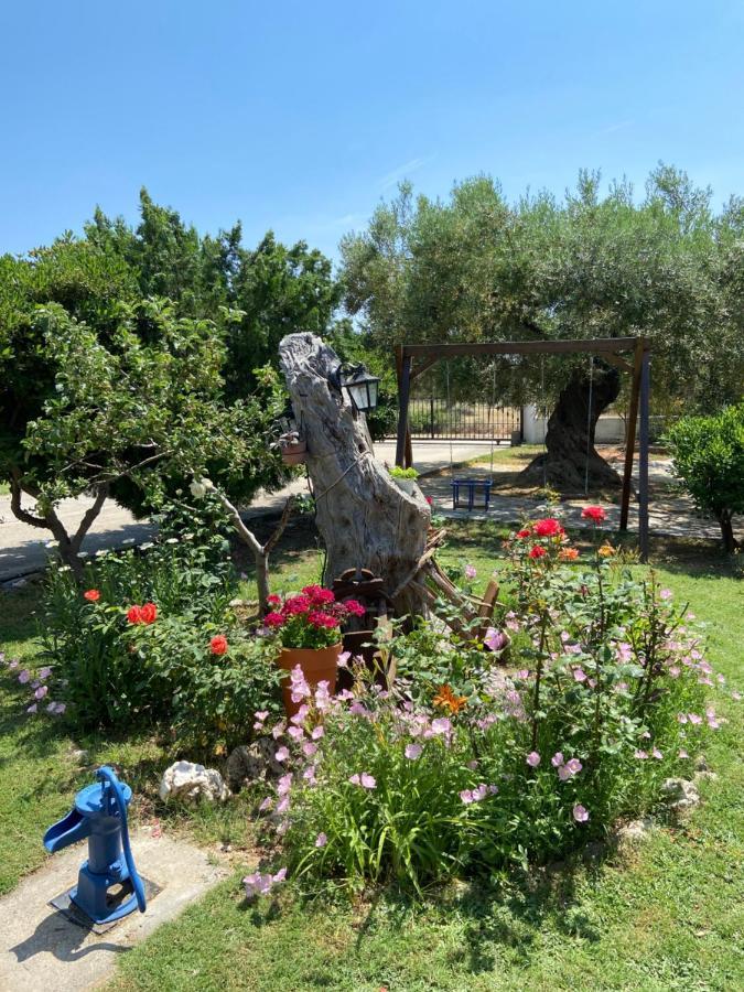 Wine & Olive Studio Геракини Экстерьер фото