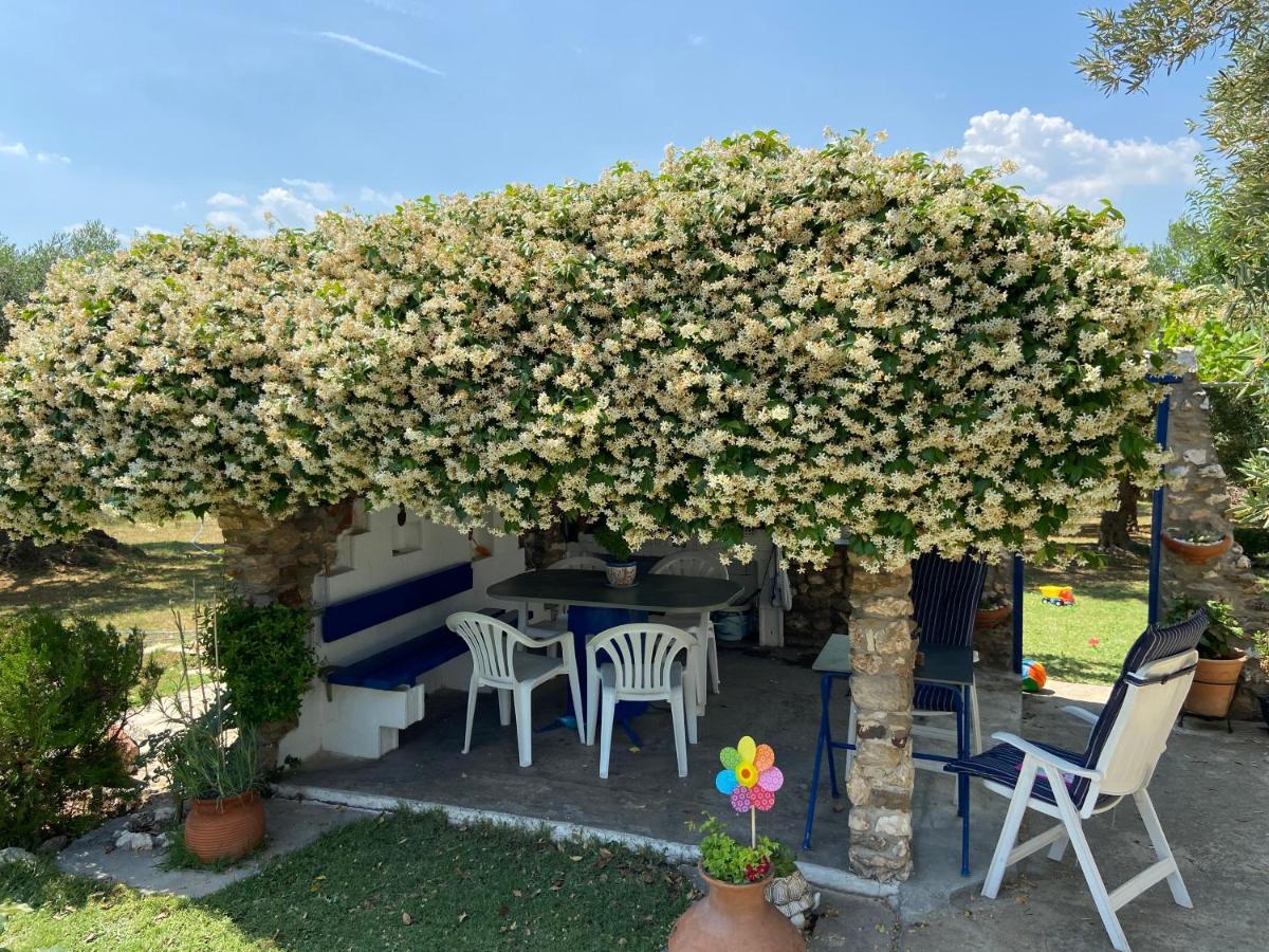 Wine & Olive Studio Геракини Экстерьер фото